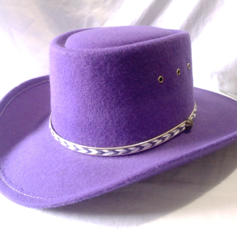 Elegant Purple Western Hat